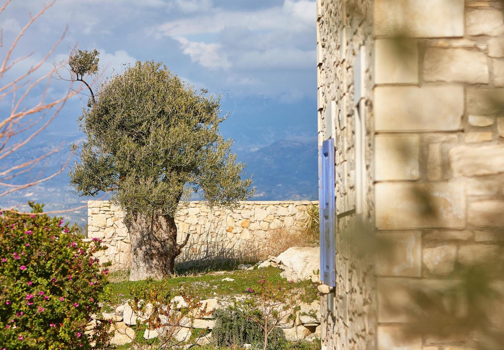 Orelia Cretan Deluxe Apartments Камиларион Экстерьер фото